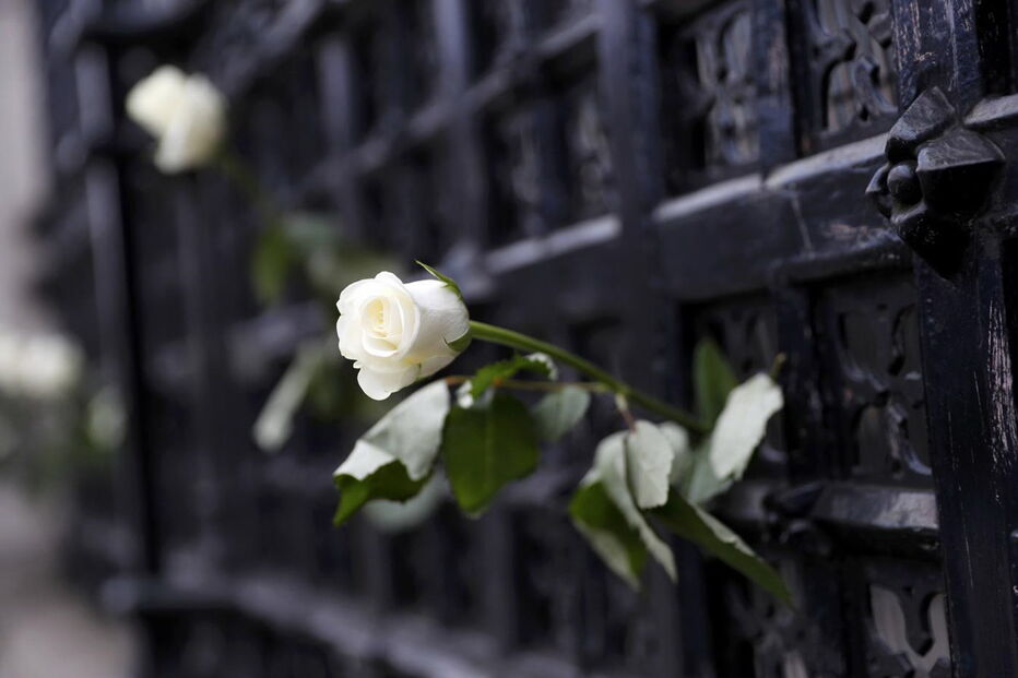 2017-03-24_09_40.42 M2-13664444.JPG