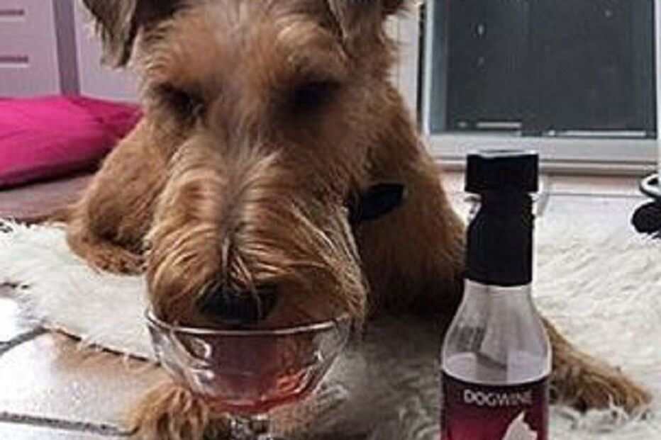 2017-03-26_23_12.39 wine.JPG