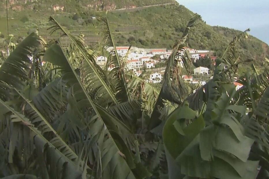 Corpo foi encontrado na casa onde vivia a vítima, na Madeira, com sinais de grande violência