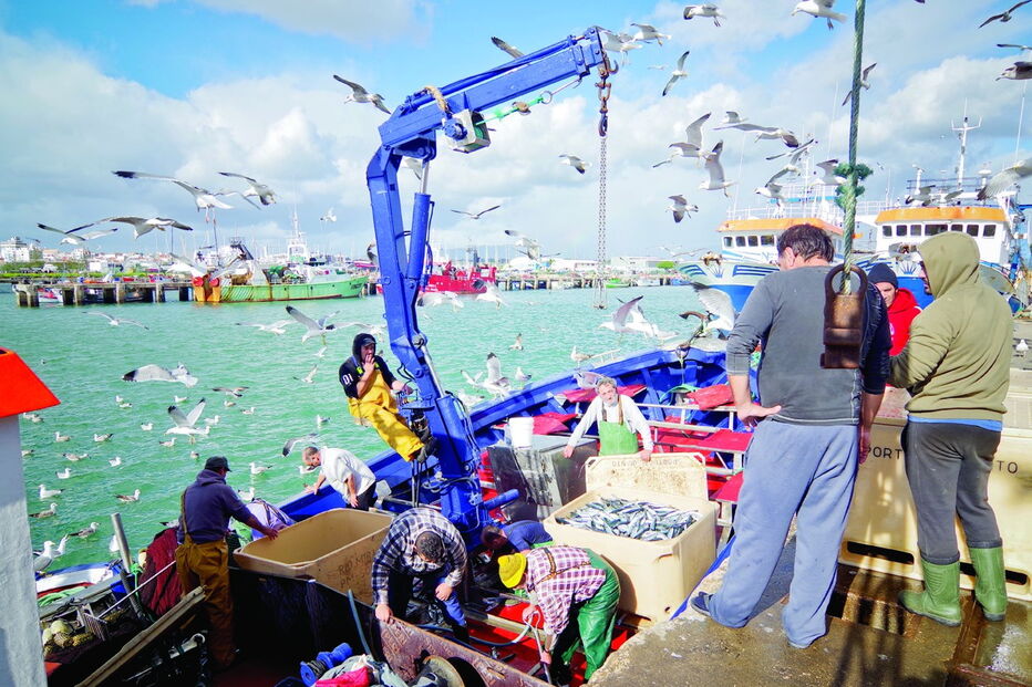 Armadores dizem que falta pessoal para trabalhar no mar, com muitos a tirarem a cédula mas a não seguirem carreira   
