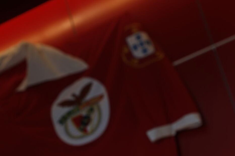 2017-03-28_11_24.42 luis bernardo 1.JPG