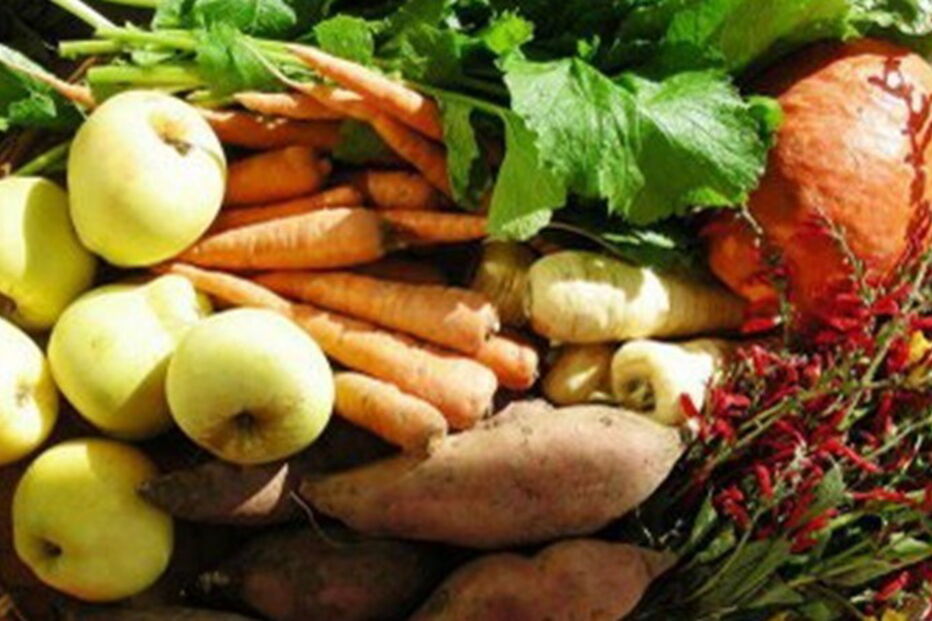 alimentos biológicos 