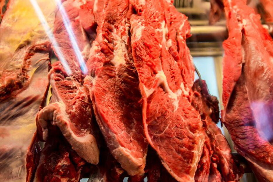 União Europeia, carne, brasil, importação