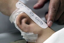 2017-04-01_13_05.56 1j.jpg