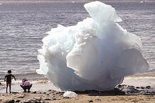 Degelo preocupa cientistas     