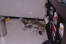 Ladrões deixaram rasto de destruição nas lojas assaltadas