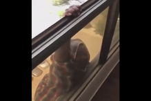 empregada, patroa, empregadora, vídeo, insólito, detida, Kuwait 