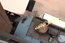 empregada, patroa, empregadora, vídeo, insólito, detida, Kuwait 