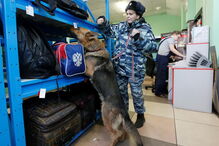 Polícia da Rússia tem feito várias operações em São Petersburgo