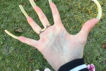 Rapariga exibe unhas de 15 centímetros