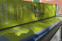 Moradores de Carnide arrancam parquimetros da EMEL em protesto