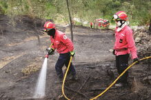 Em 2016 foram registados 191 fogos florestais no Algarve, que consumiram uma área de 5728 hectares   