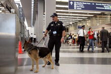Vídeo de passageiro desembarcado à força coloca em risco polícia nos aeroportos de Chicago