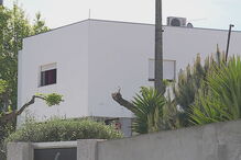 2017-04-16_14_33.43 0107C933.jpg