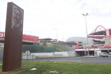 Rotunda, atropelamento, estádio da luz, adepto, sporting, morto