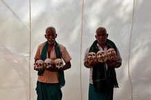 indianos, agricultores, crânios, ratos, animais, seca,  Tamil Nadu, governo, índia