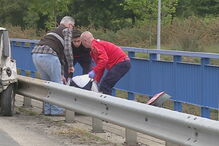 2017-04-25_09_58.45 01091647.jpg