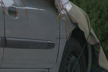 Polícia Judiciária, Sporting, Luz, desporto, atropelamento