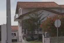 Cão de Fila de São Miguel, Gafanha da Encarnação, Ílhavo, ataque, cão