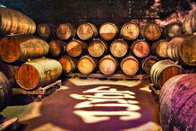 vinho, continentes, é para exportar, José Maria da Fonseca