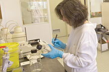 testes, sarampo, saúde, epidemia, Beatriz Sampaio, jovem, doença, Instituto Nacional de Saúde, Dr. Ricardo Jorge, custos, Lisboa