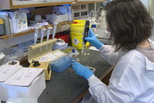 testes, sarampo, saúde, epidemia, Beatriz Sampaio, jovem, doença, Instituto Nacional de Saúde, Dr. Ricardo Jorge, custos, Lisboa