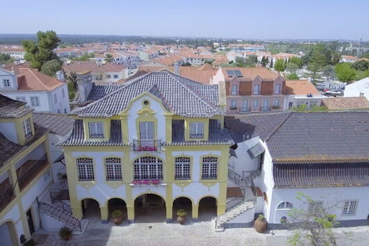 vinho, continentes, é para exportar, José Maria da Fonseca