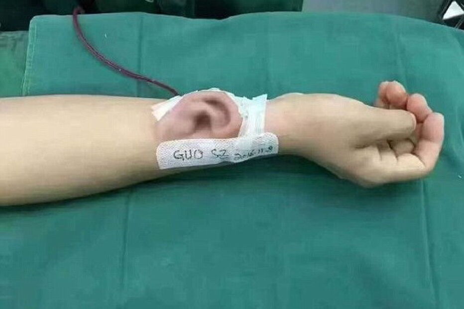 2017-04-01_13_05.55 3f.jpg