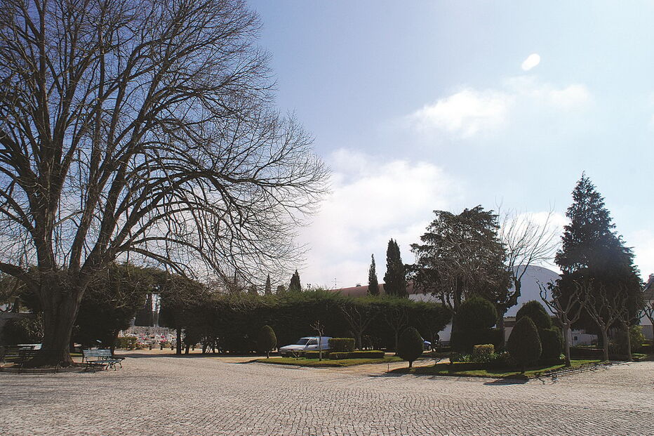 O crematório de Almeirim vai ser edificado no cemitério e a autarquia prevê recuperar o investimento em 10 anos    