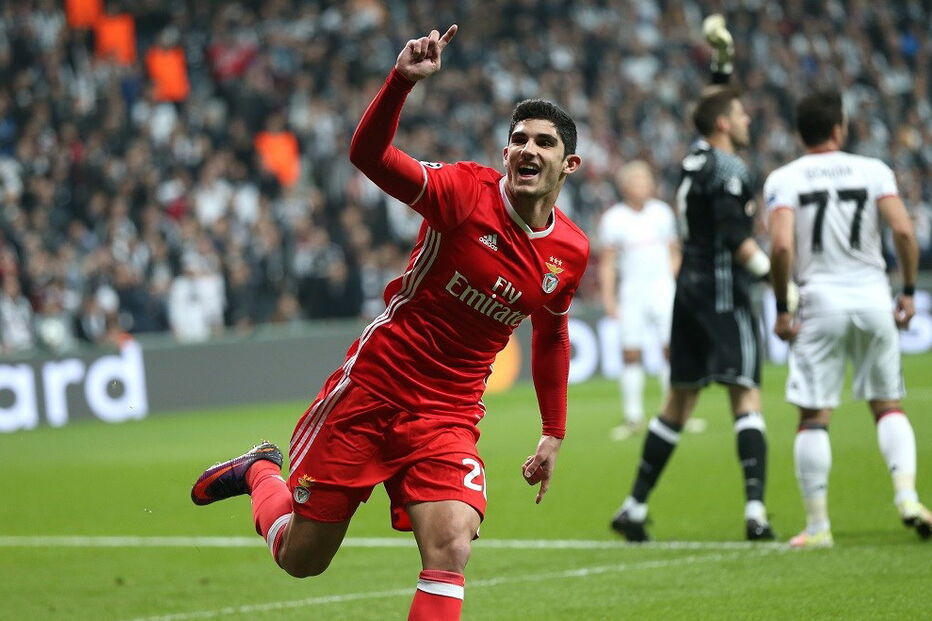 Gonçalo Guedes, Benfica, desporto, futebol, Costa, vendas, intermediação