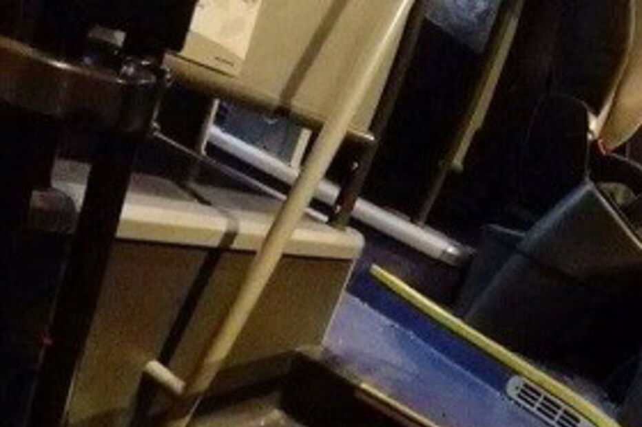 Pânico, fc porto, dragões, Benfica, A1, adeptos, futebol, 