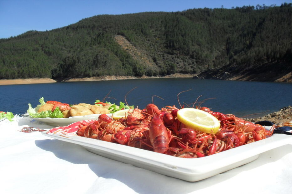 2017-04-04_09_16.11 SAM_2943.JPG