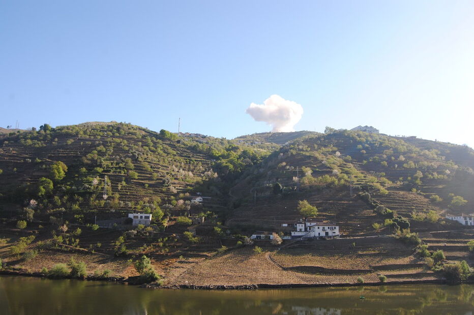 Fogo tirada em Caldas de Moledo, junto ao Rio Douro