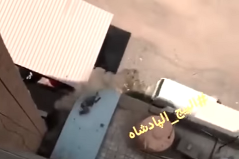 empregada, patroa, empregadora, vídeo, insólito, detida, Kuwait 