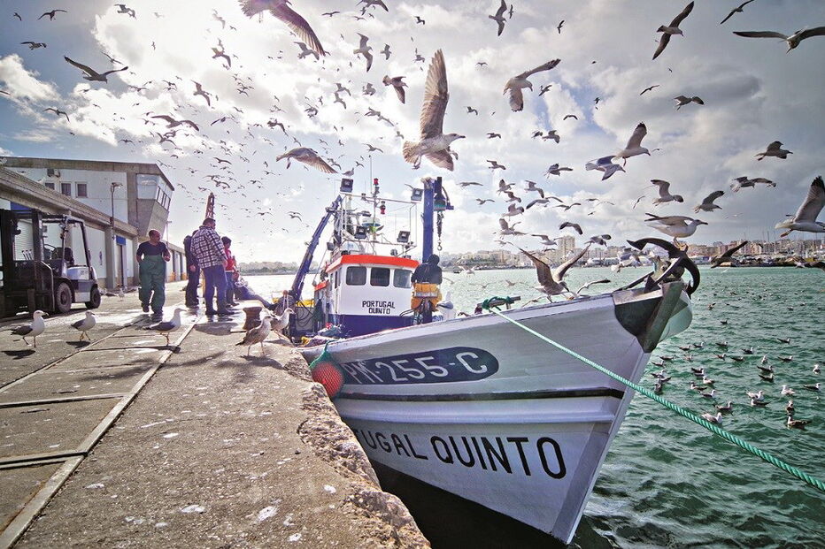 apoios, governo, pagamento, peixe, pesca, pescadores, mar