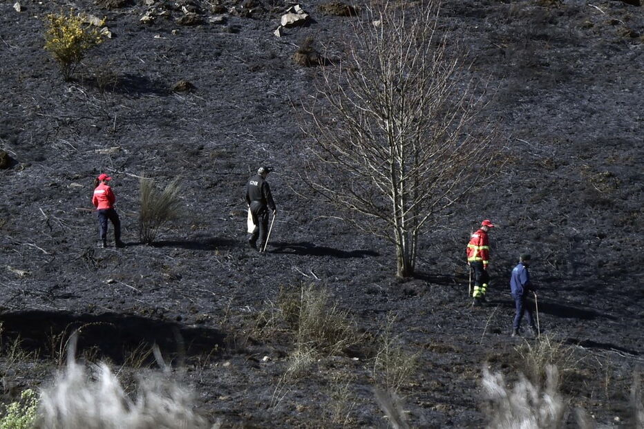 No local continuam mais de 80 operacionais, apoiados por 9 viaturas, de 9 entidades diferentes