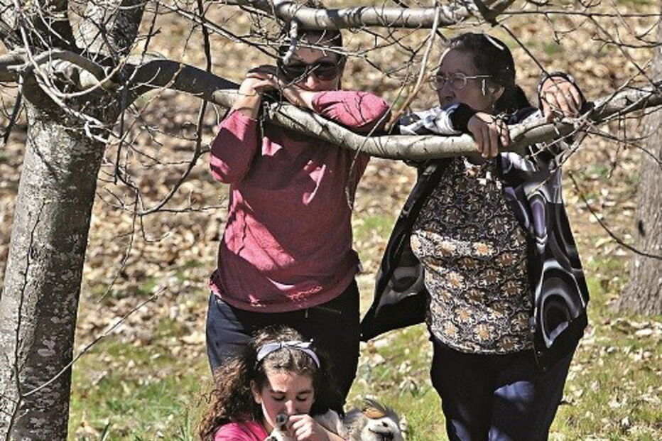 vítimas, Lamego, tragédia, explosão, pirotecnia