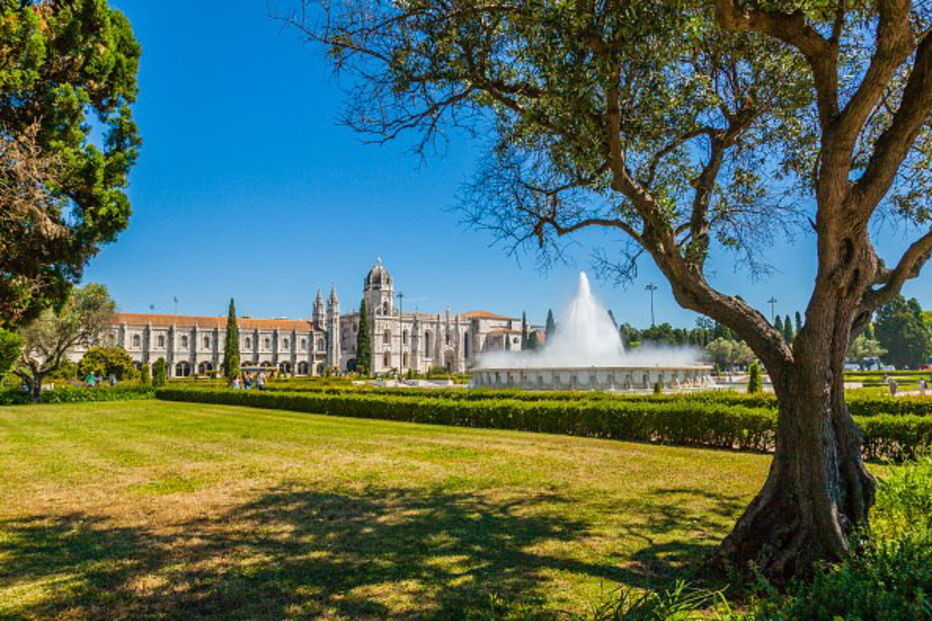 Níveis de pólen muito elevados nos próximos dias no continente