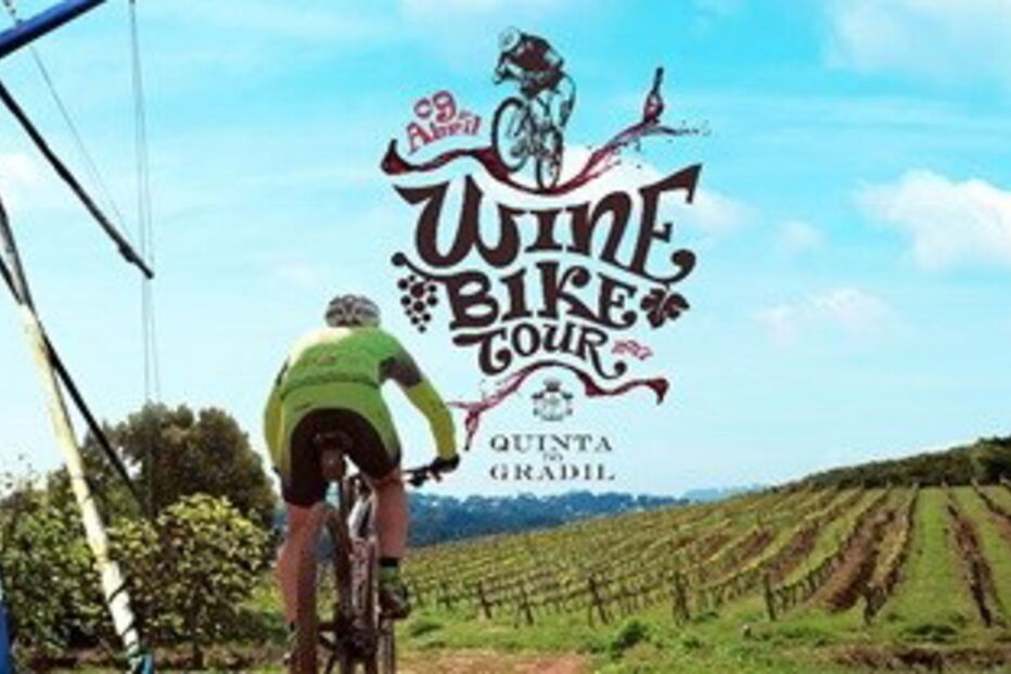 2017-04-07_17_54.48 CORRIDA GRADIL.jpg