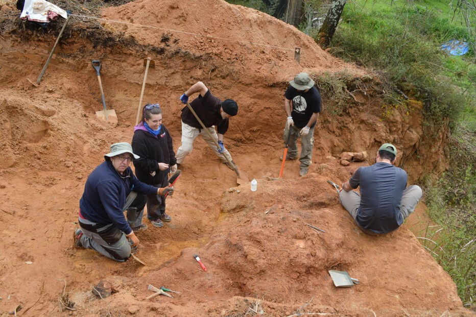 Fósseis viveram há 150 milhões de anos.