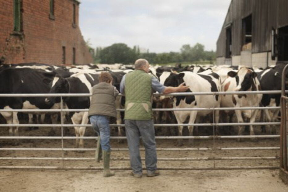 Menino foi obrigado a fazer sexo com uma vaca