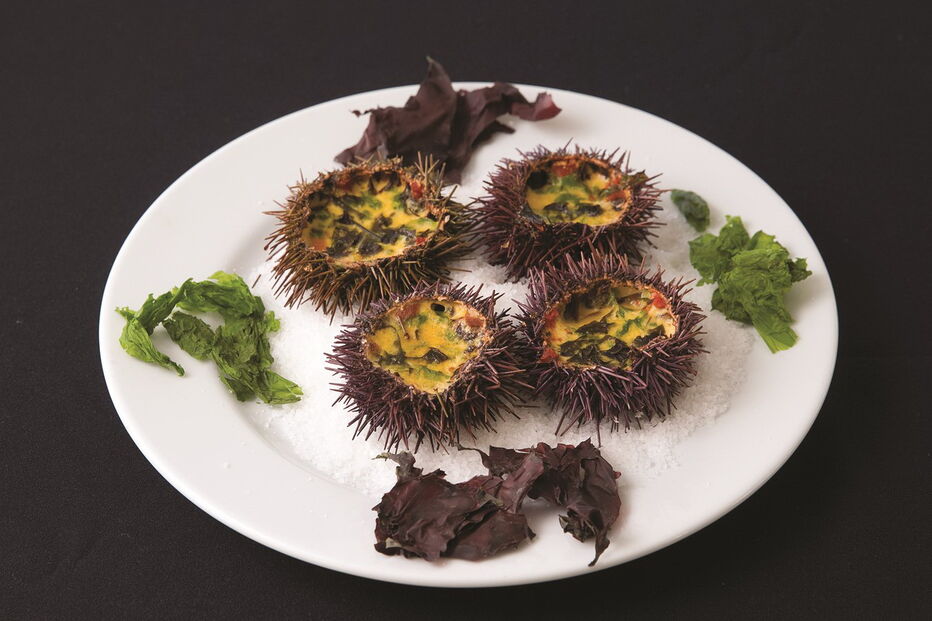 ouriço-do-mar, receita, iguaria, algas, receitas, gastronomia