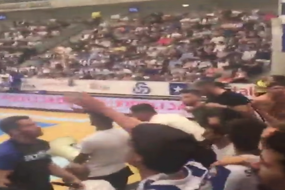 Benfica, Super Dragões, cântico, futebol, modalidades, Chapecoense, avião, acidente