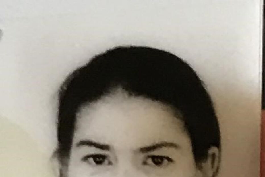 Susana Gomes, Santa Maria da Feira, PJ, Carlos Costa, Maria de Lurdes Silva, crime, lei e justiça