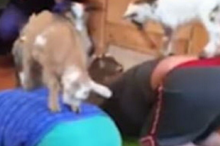 2017-04-15_22_51.33 ml 1.JPG