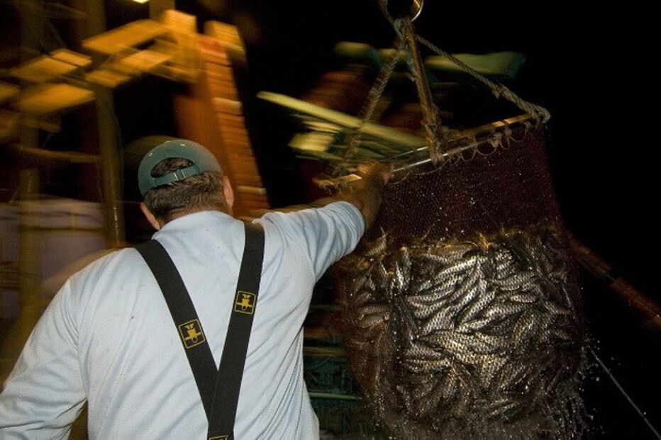 Mário Galhardo, Barlapescas, presidente, Governo, armador, pescador