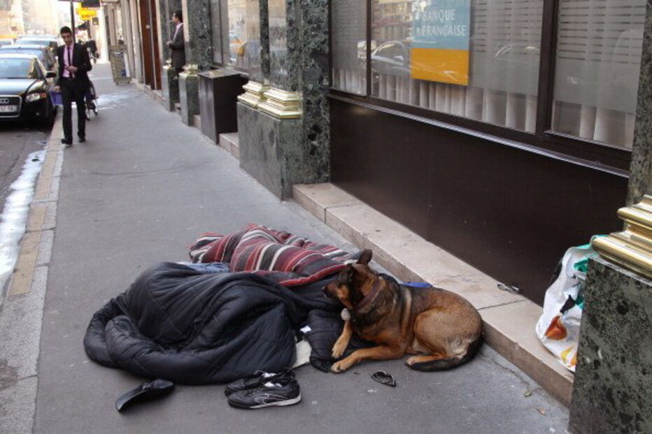 cães, bate, detido, Lisboa, 