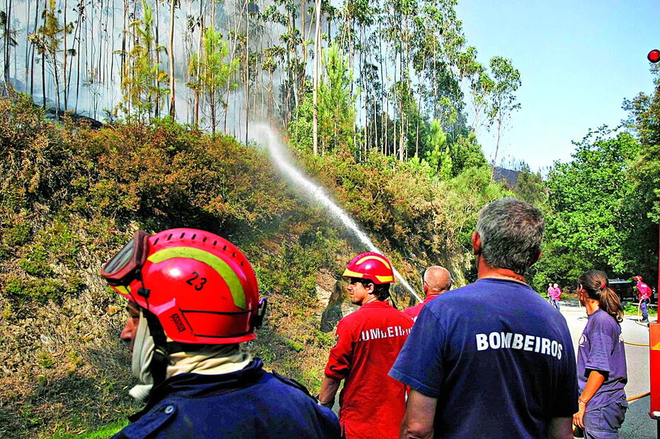 Concelho é habitualmente fustigado, principalmente no verão, por vários fogos que consomem uma vasta área florestal  