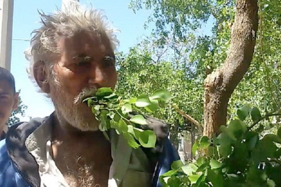 Paquistão, Gujranwala, Mehmood Butt, Punjab, economia, negócios e finanças, agricultura e pescas