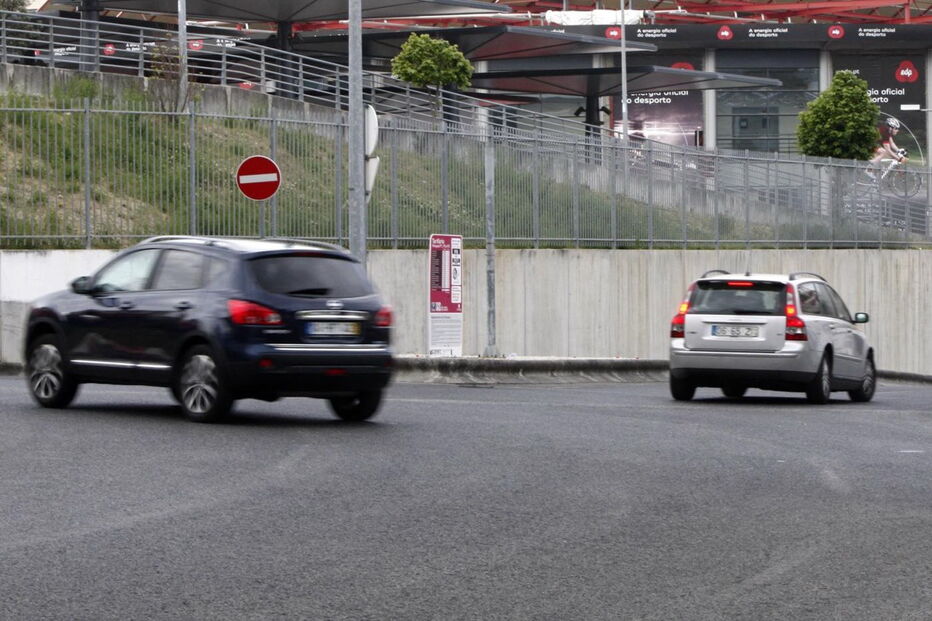 Rotunda, atropelamento, estádio da luz, adepto, sporting, morto